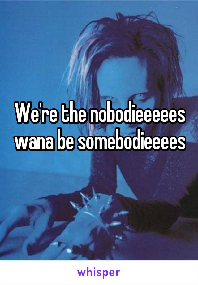 We're the nobodieeeees wana be somebodieeees 
