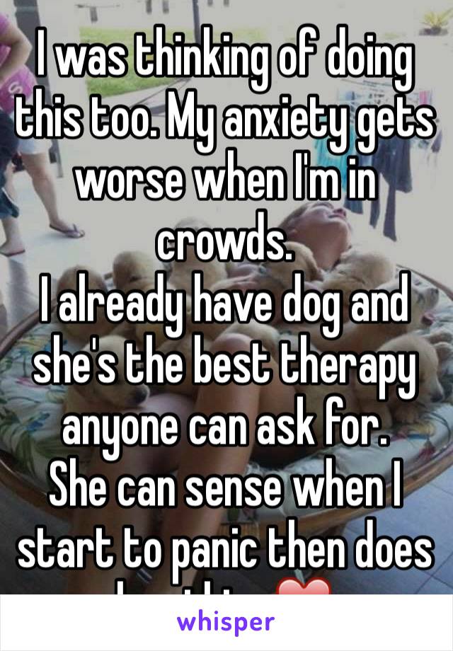 I was thinking of doing this too. My anxiety gets worse when I'm in crowds. 
I already have dog and she's the best therapy anyone can ask for.
She can sense when I start to panic then does her thing❤️