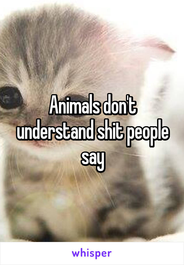 Animals don't understand shit people say