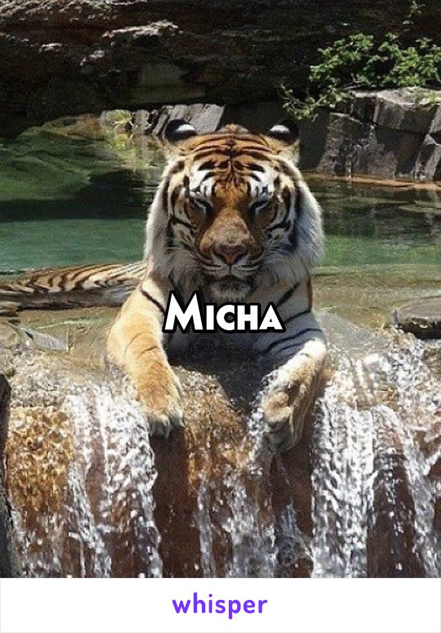 Micha