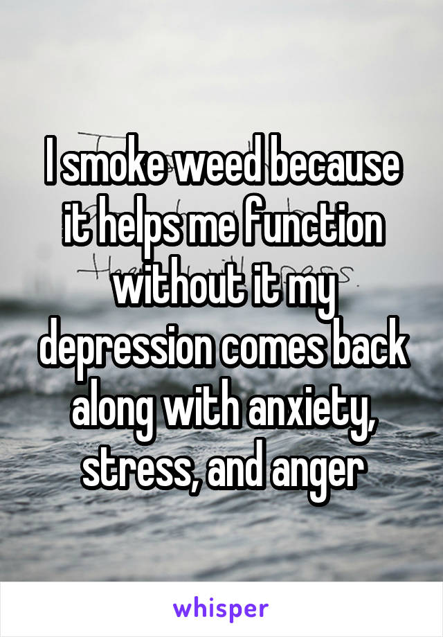 I smoke weed because it helps me function without it my depression comes back along with anxiety, stress, and anger