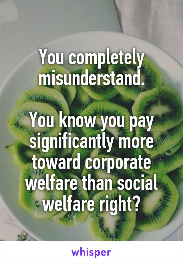 You completely misunderstand.

You know you pay significantly more toward corporate welfare than social welfare right?