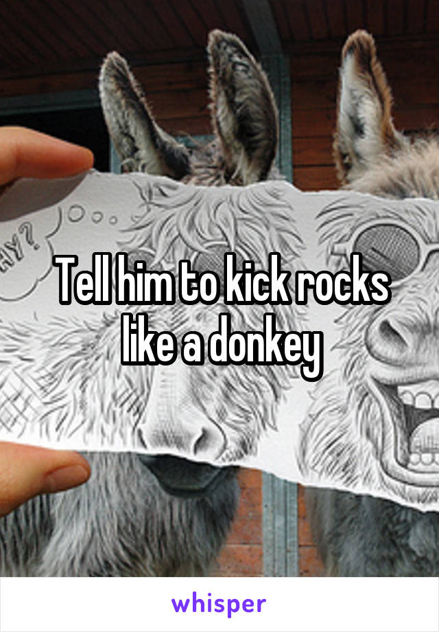 Tell him to kick rocks like a donkey