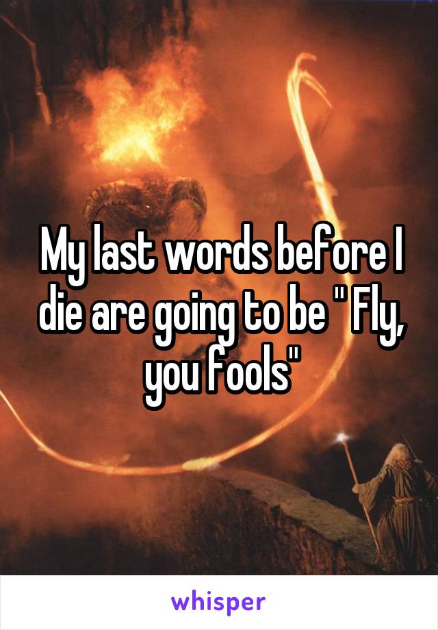 My last words before I die are going to be " Fly, you fools"