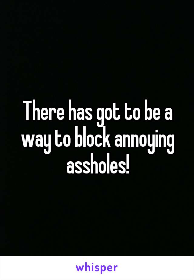 There has got to be a way to block annoying assholes!