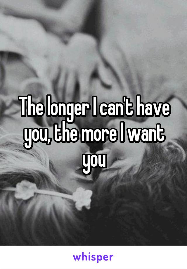 The longer I can't have you, the more I want you