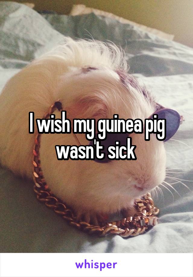 I wish my guinea pig wasn't sick 