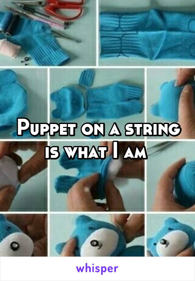Puppet on a string is what I am 