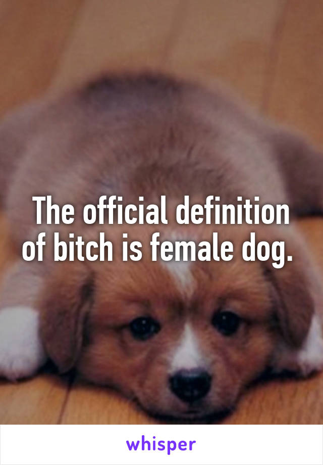 The official definition of bitch is female dog. 
