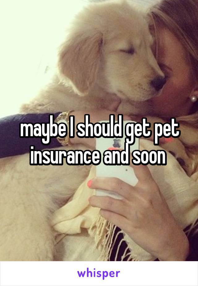 maybe I should get pet insurance and soon 