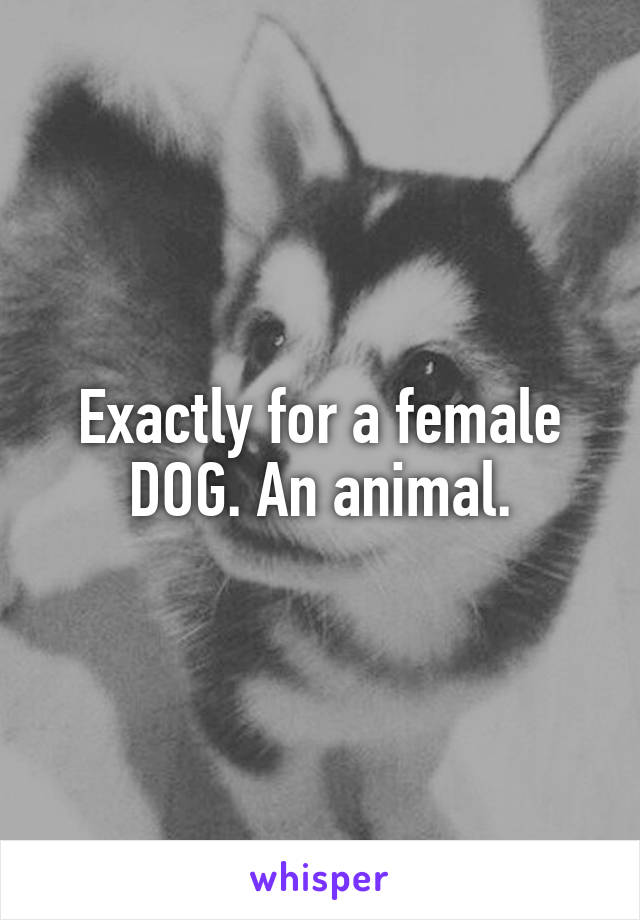 Exactly for a female DOG. An animal.