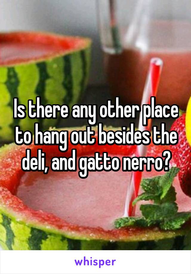 Is there any other place to hang out besides the deli, and gatto nerro?