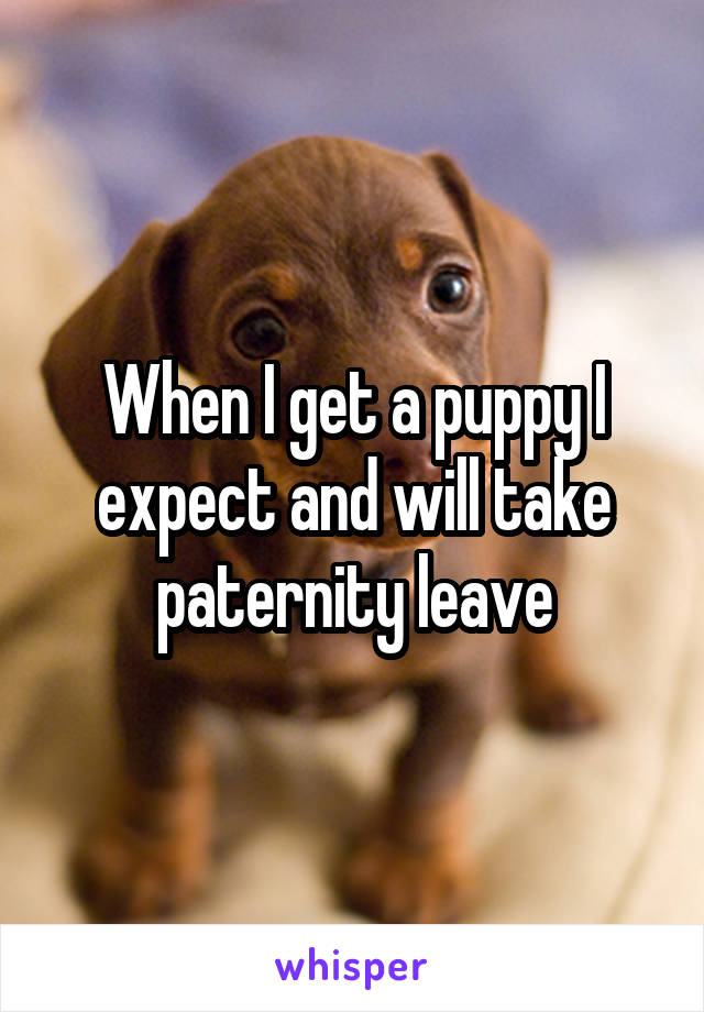 When I get a puppy I expect and will take paternity leave