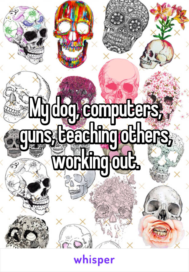 My dog, computers, guns, teaching others, working out.