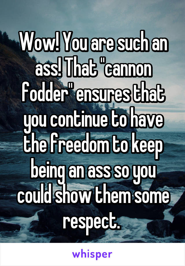 Wow! You are such an ass! That "cannon fodder" ensures that you continue to have the freedom to keep being an ass so you could show them some respect. 
