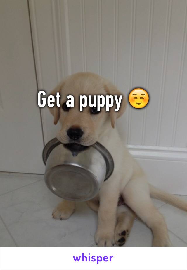 Get a puppy ☺️