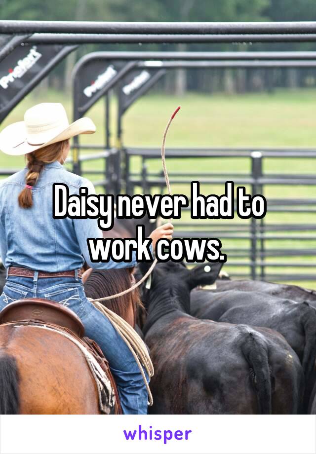 Daisy never had to work cows. 