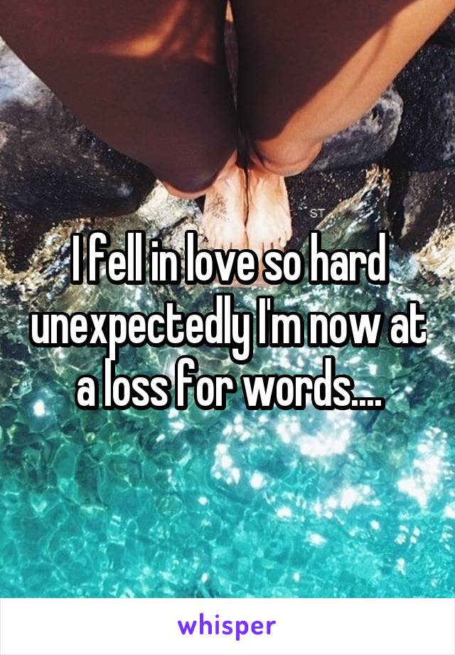I fell in love so hard unexpectedly I'm now at a loss for words....