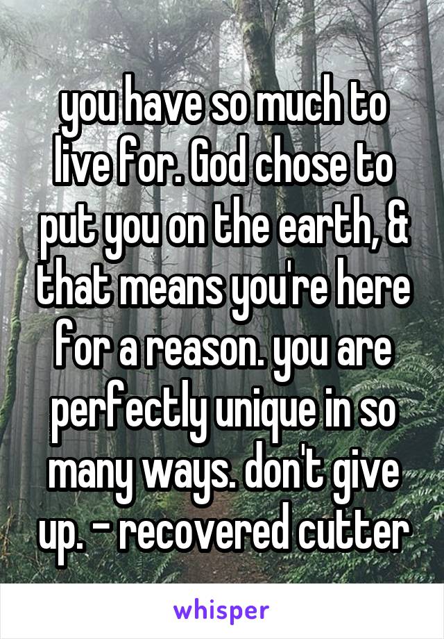you have so much to live for. God chose to put you on the earth, & that means you're here for a reason. you are perfectly unique in so many ways. don't give up. - recovered cutter