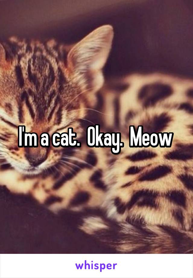 I'm a cat.  Okay.  Meow 