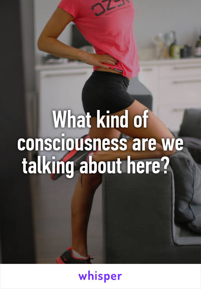 What kind of consciousness are we talking about here?  