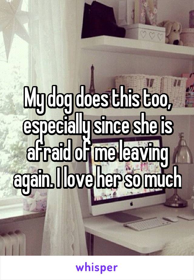 My dog does this too, especially since she is afraid of me leaving again. I love her so much