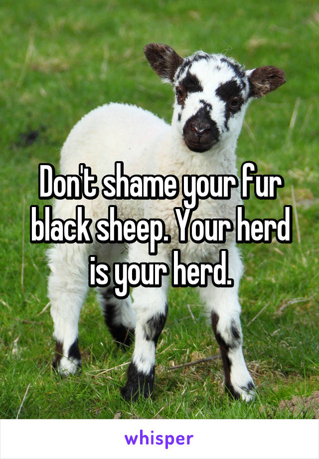 Don't shame your fur black sheep. Your herd is your herd.