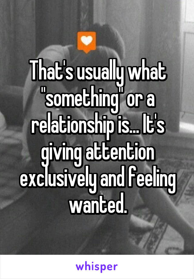 That's usually what "something" or a relationship is... It's giving attention exclusively and feeling wanted.
