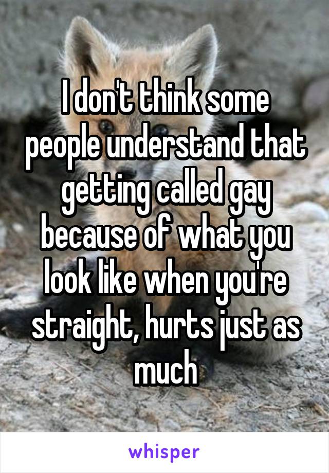 I don't think some people understand that getting called gay because of what you look like when you're straight, hurts just as much