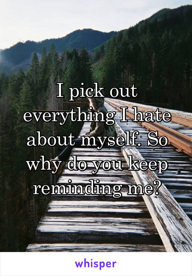 I pick out everything I hate about myself. So why do you keep reminding me?