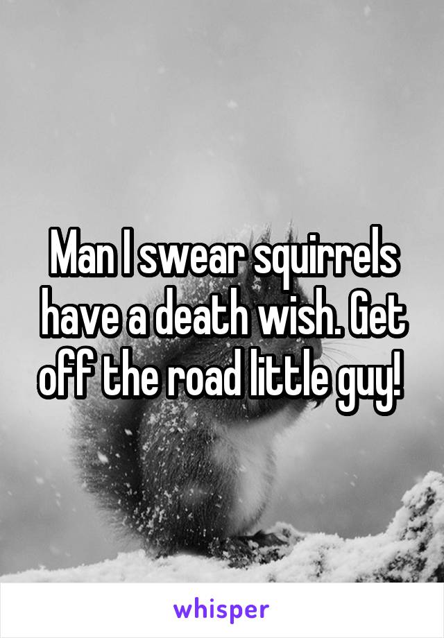 Man I swear squirrels have a death wish. Get off the road little guy! 