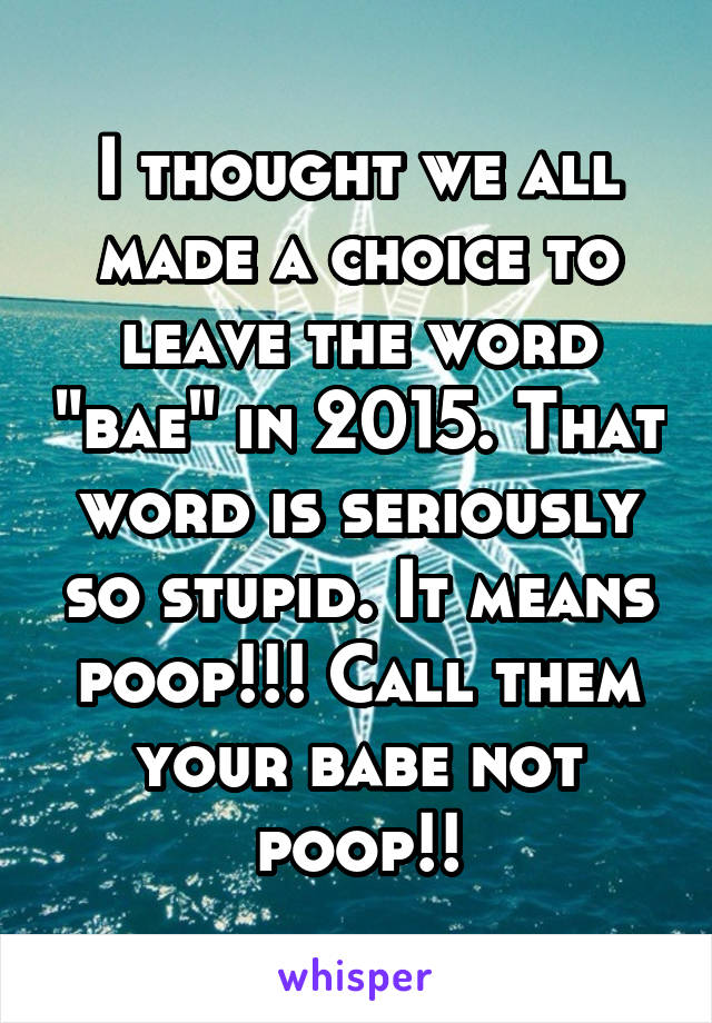 I thought we all made a choice to leave the word "bae" in 2015. That word is seriously so stupid. It means poop!!! Call them your babe not poop!!