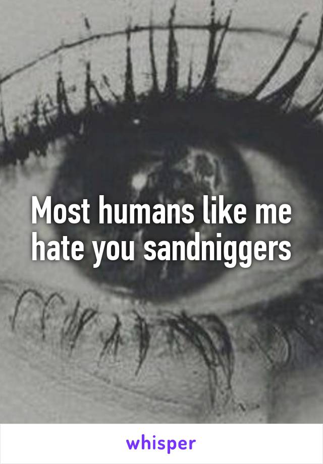 Most humans like me hate you sandniggers