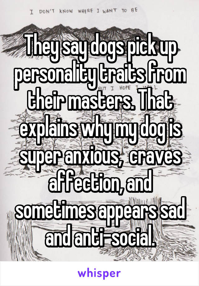 They say dogs pick up personality traits from their masters. That explains why my dog is super anxious,  craves affection, and sometimes appears sad and anti-social.