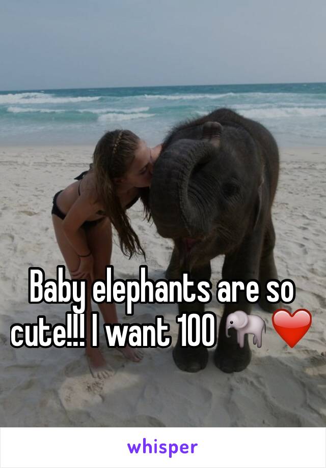 Baby elephants are so
cute!!! I want 100 🐘❤️