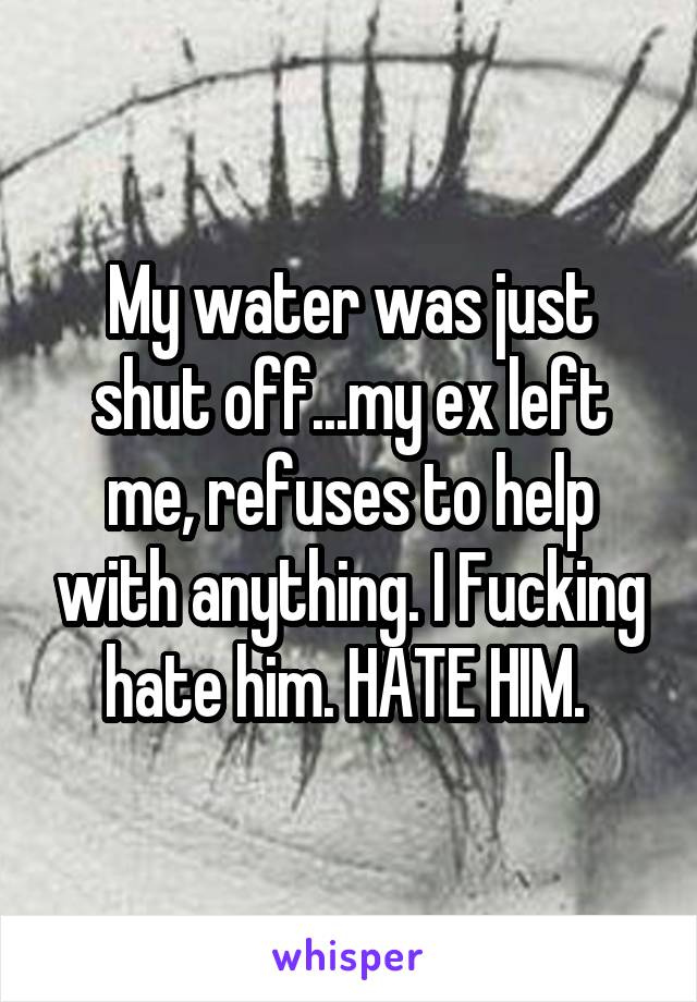 My water was just shut off...my ex left me, refuses to help with anything. I Fucking hate him. HATE HIM. 