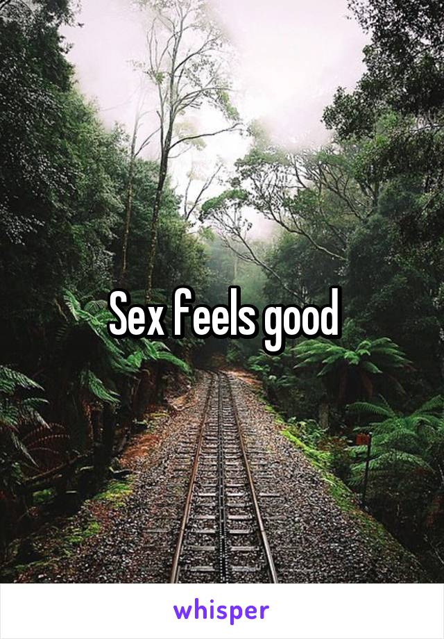 Sex feels good