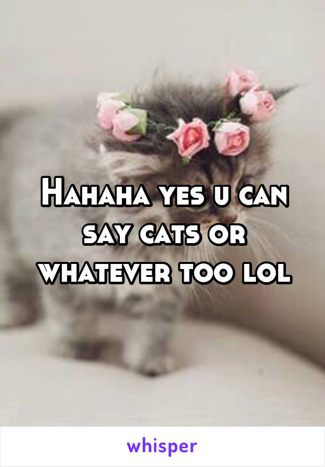 Hahaha yes u can say cats or whatever too lol