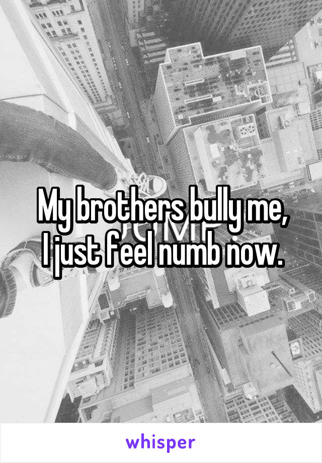 My brothers bully me,
I just feel numb now.