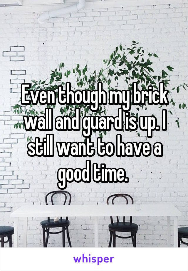 Even though my brick wall and guard is up. I still want to have a good time. 