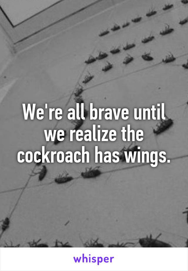 We're all brave until we realize the cockroach has wings.