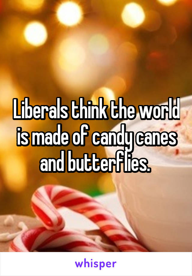 Liberals think the world is made of candy canes and butterflies. 