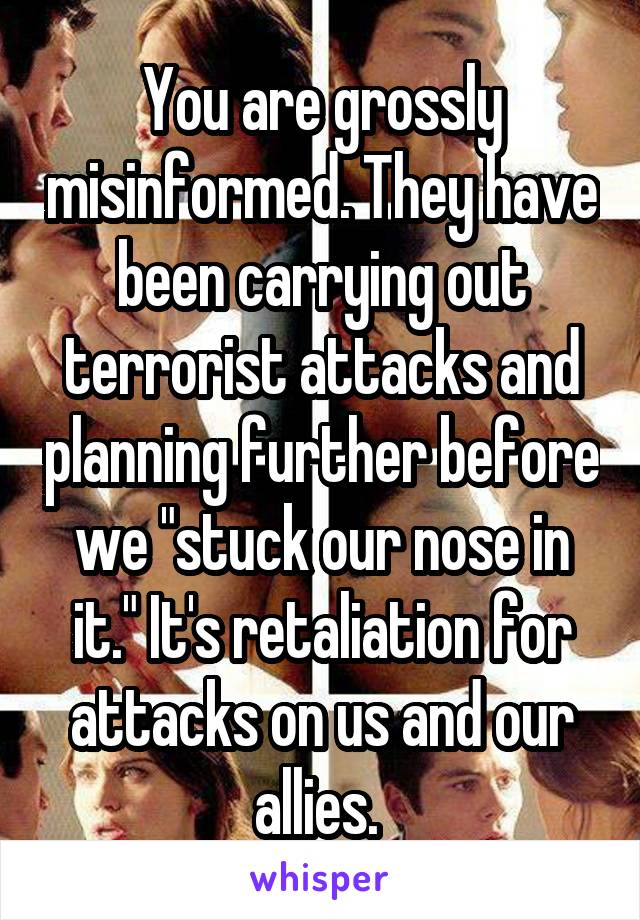 You are grossly misinformed. They have been carrying out terrorist attacks and planning further before we "stuck our nose in it." It's retaliation for attacks on us and our allies. 