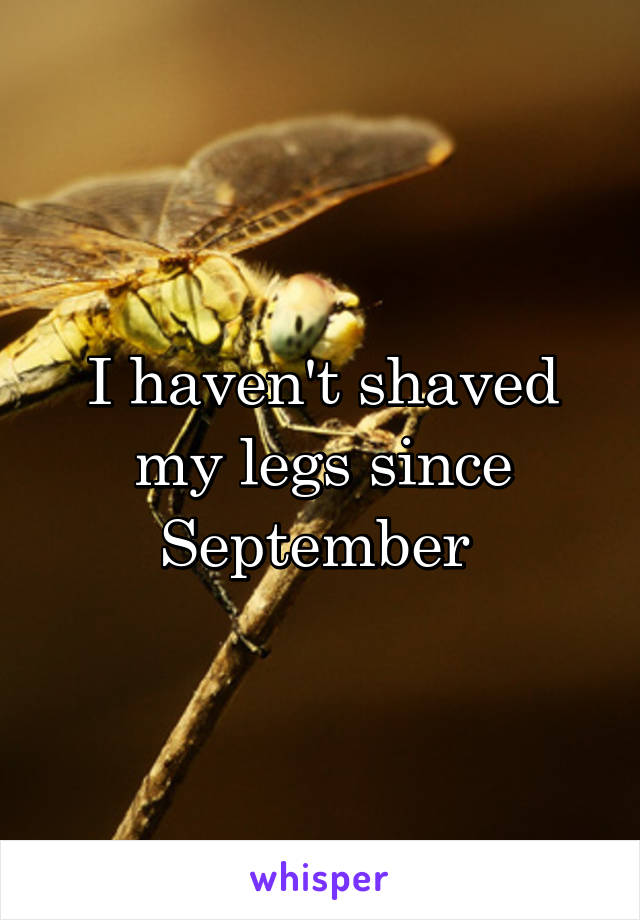 I haven't shaved my legs since September 