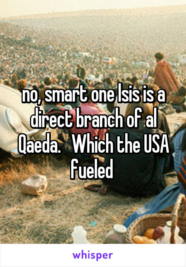 no, smart one Isis is a direct branch of al Qaeda.   Which the USA fueled 