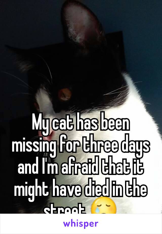 My cat has been missing for three days and I'm afraid that it might have died in the street 😢