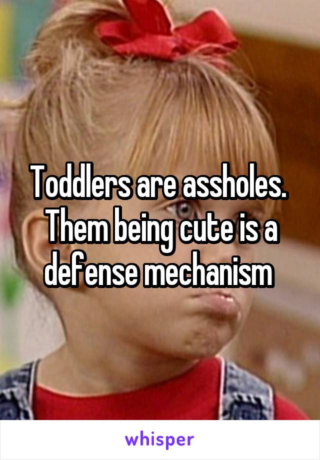 Toddlers are assholes. 
Them being cute is a defense mechanism 