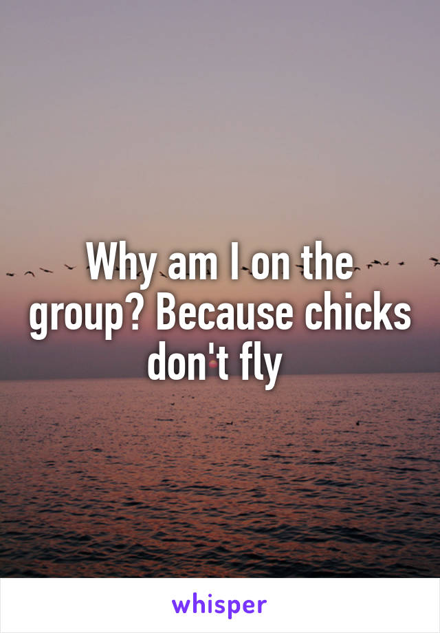 Why am I on the group? Because chicks don't fly 