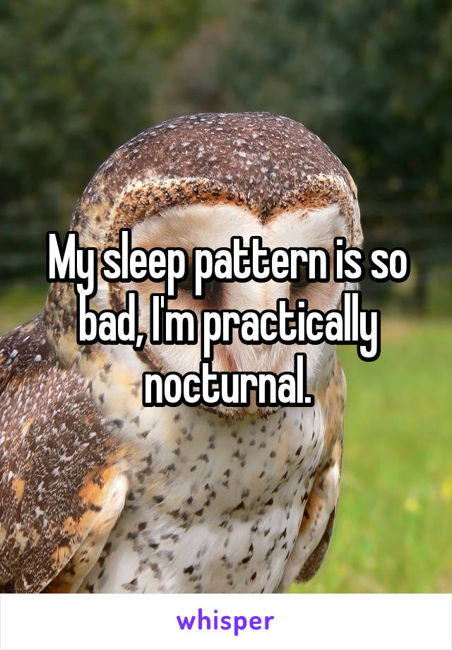 My sleep pattern is so bad, I'm practically nocturnal.