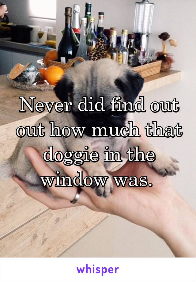 Never did find out out how much that doggie in the window was. 